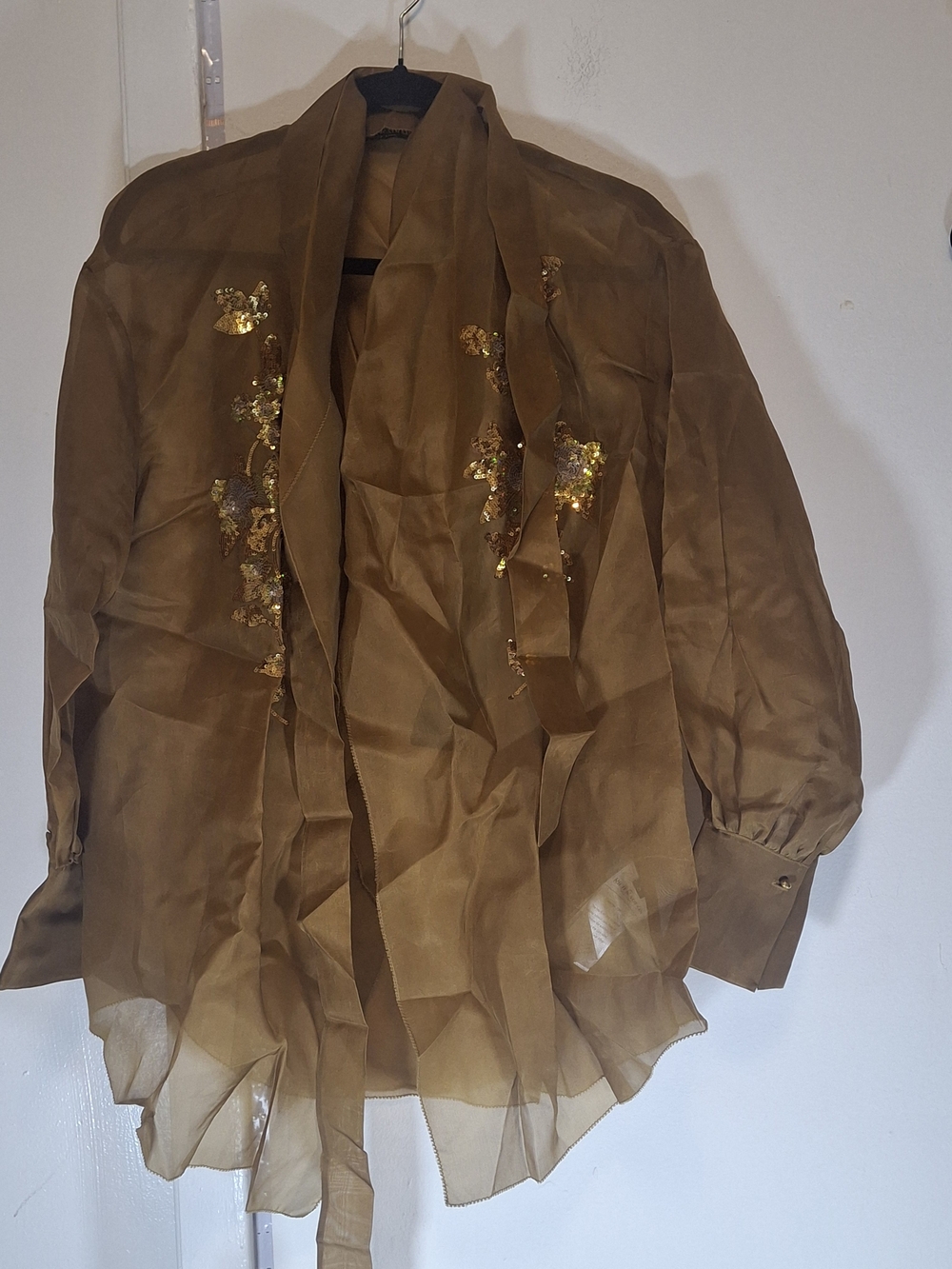 Brown Sheer Embellished Women's Blouse